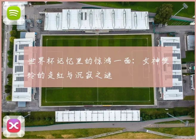 世界杯记忆里的惊鸿一面：女神樊玲的走红与沉寂之谜