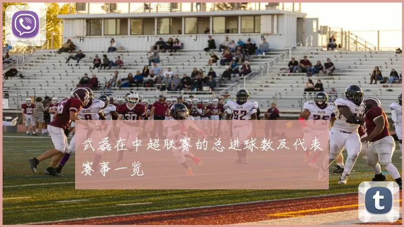 武磊在中超联赛的总进球数及代表赛事一览