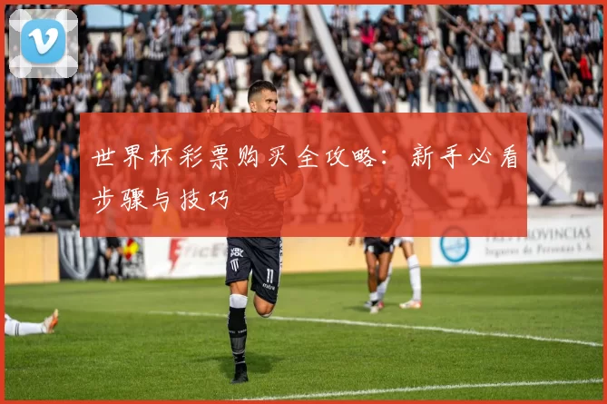 世界杯彩票购买全攻略:新手必看步骤与技巧