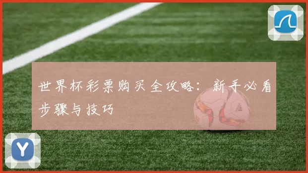 世界杯彩票购买全攻略：新手必看步骤与技巧
