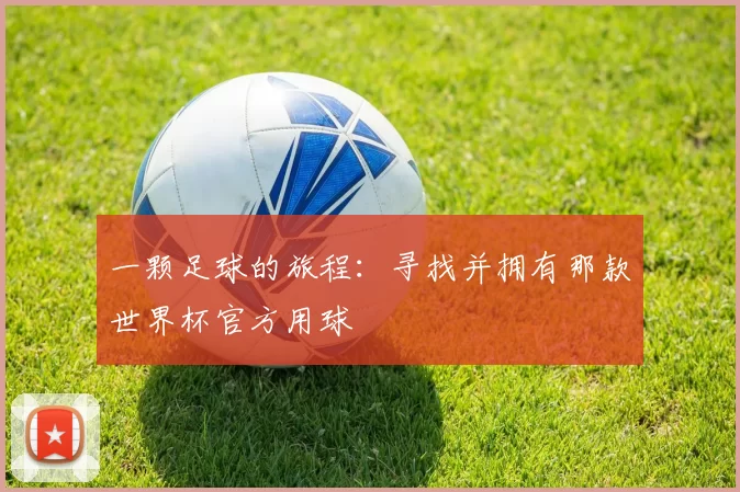 一颗足球的旅程:寻找并拥有那款世界杯官方用球