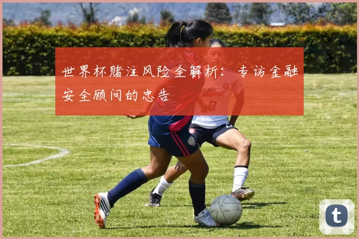 世界杯赌注风险全解析：专访金融安全顾问的忠告