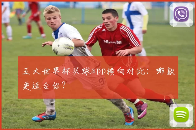 五大世界杯买球app横向对比：哪款更适合你？