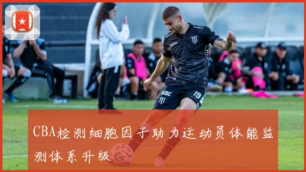 CBA检测细胞因子助力运动员体能监测体系升级