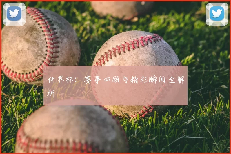 世界杯:赛事回顾与精彩瞬间全解析