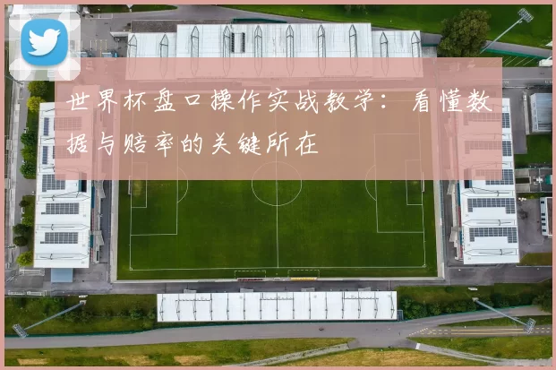 世界杯盘口操作实战教学：看懂数据与赔率的关键所在