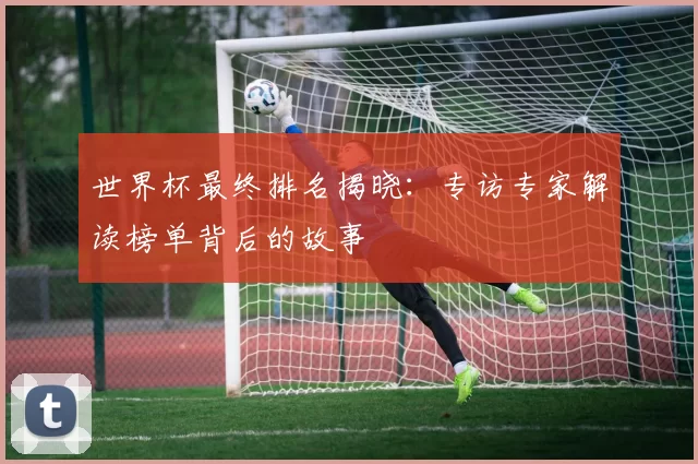 世界杯最终排名揭晓:专访专家解读榜单背后的故事