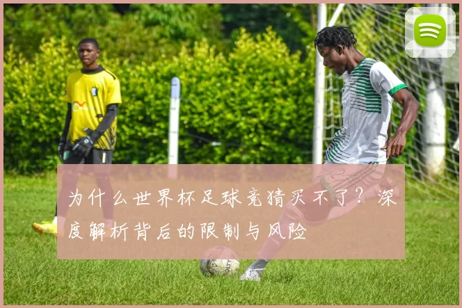 为什么世界杯足球竞猜买不了?深度解析背后的限制与风险