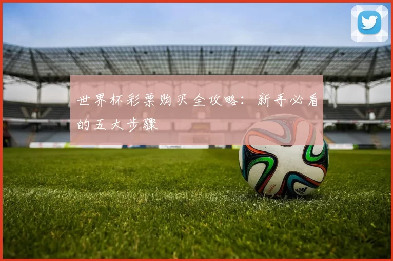 世界杯彩票购买全攻略：新手必看的五大步骤