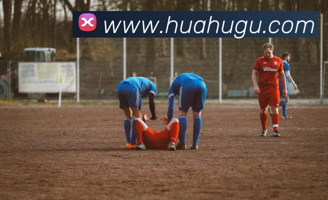 多媒体互动体验